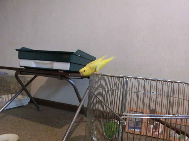 201410123.jpg