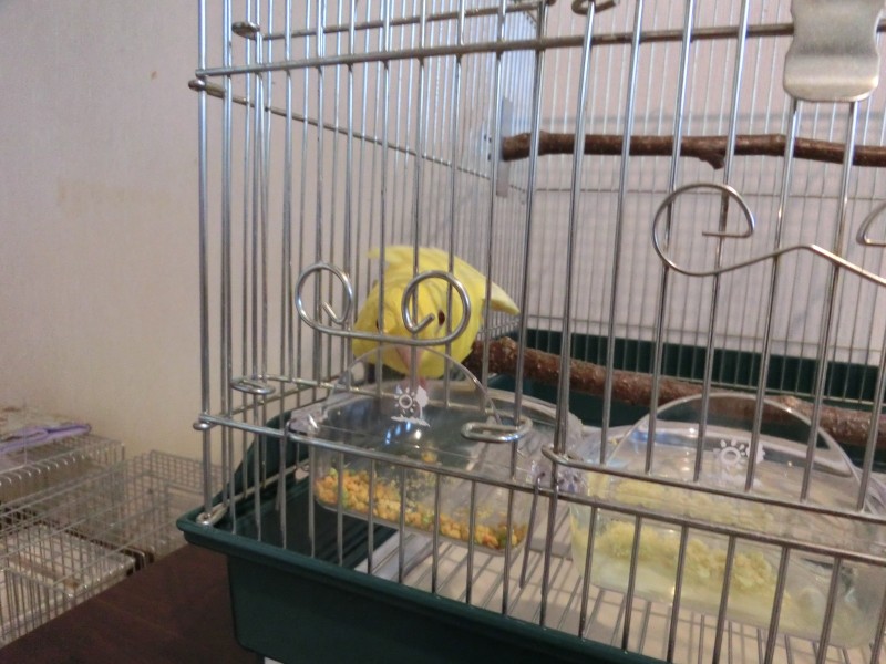 201410181.jpg