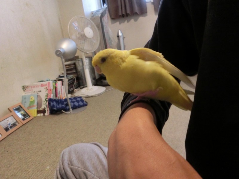 201410182.jpg