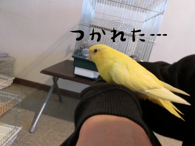 201410252.jpg