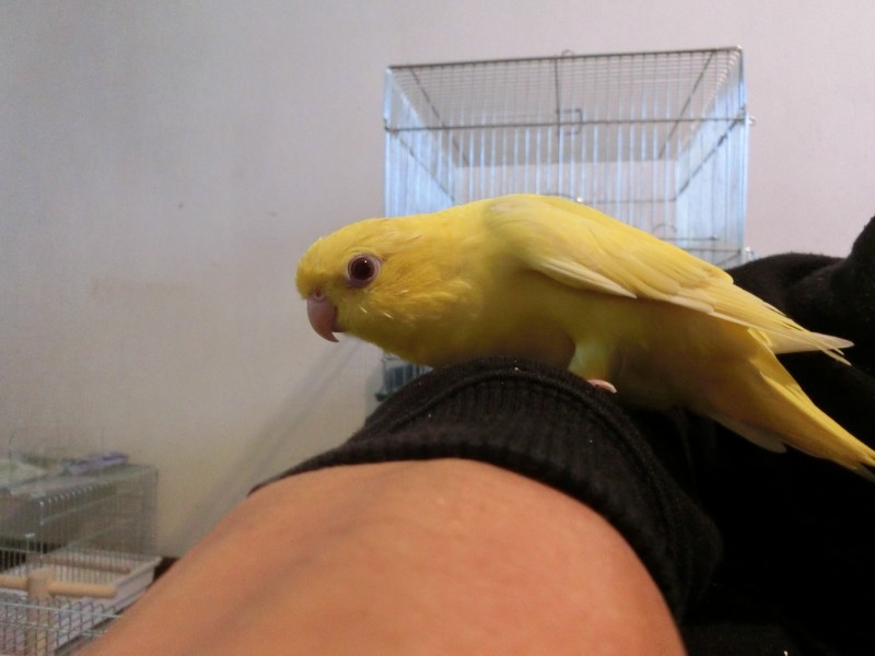201410253.jpg