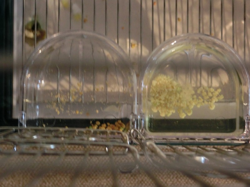 201410261.jpg