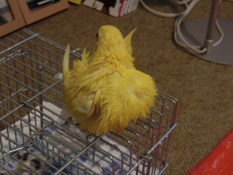 201410263.jpg