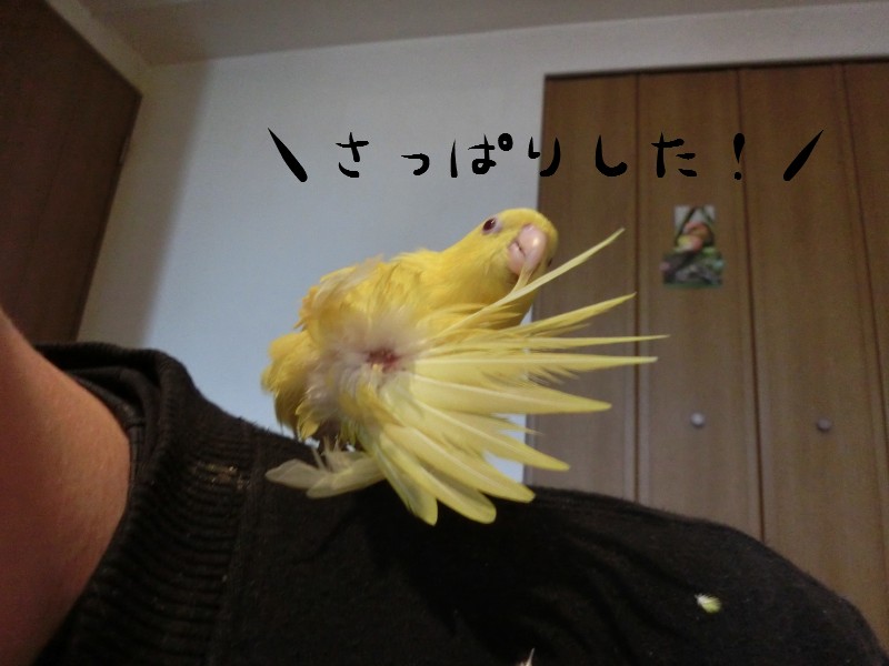201410265.jpg