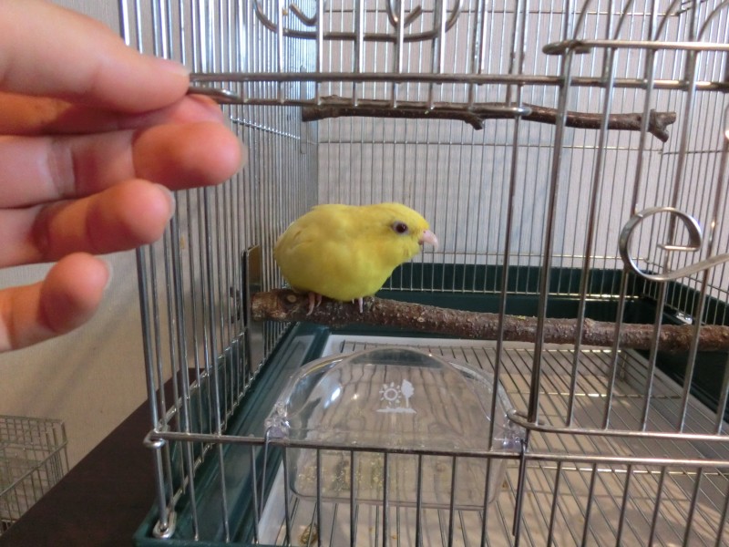 20141111.jpg