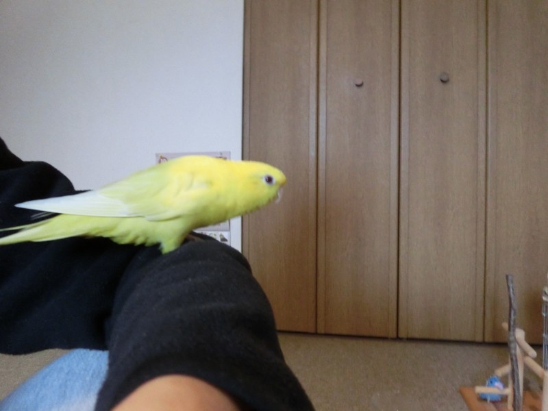 20141112.jpg