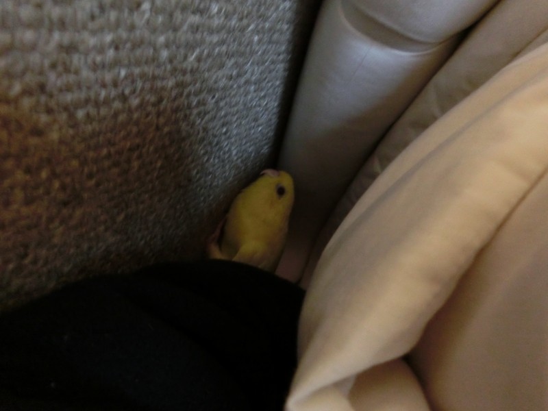 20141113.jpg