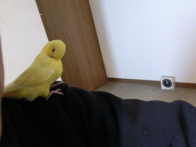 201411151.jpg