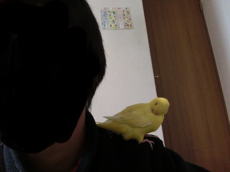 201411152.jpg