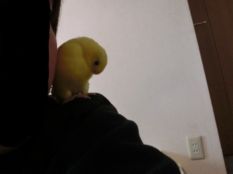 201411153.jpg