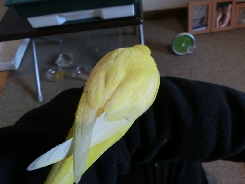 201411162.jpg