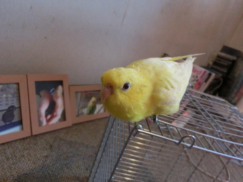 201411163.jpg
