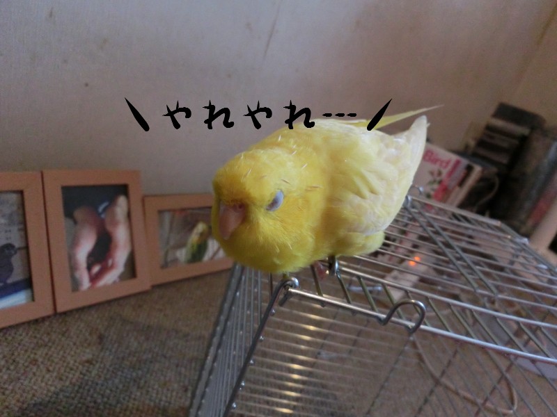 201411164.jpg