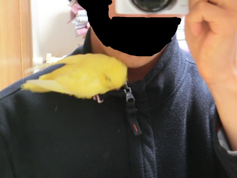 201411222.jpg