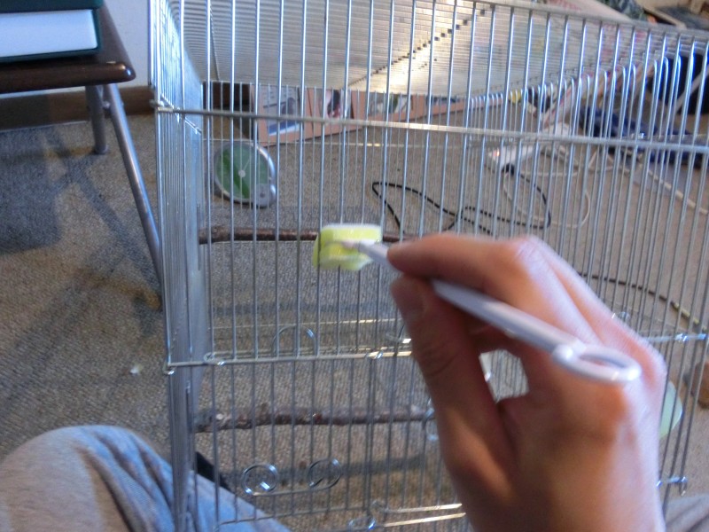 201411232.jpg