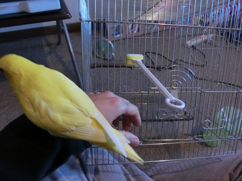 201411233.jpg