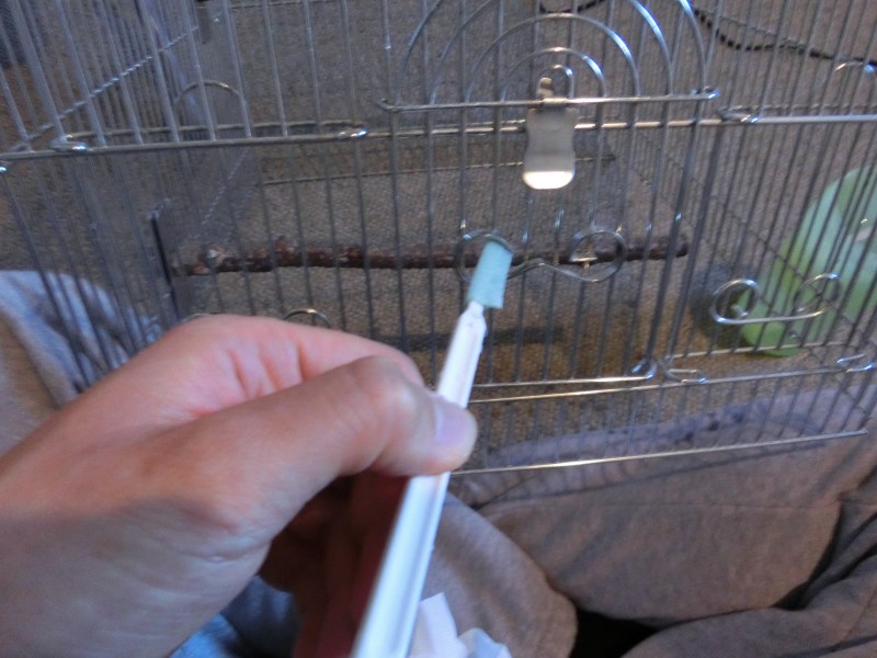 201411235.jpg