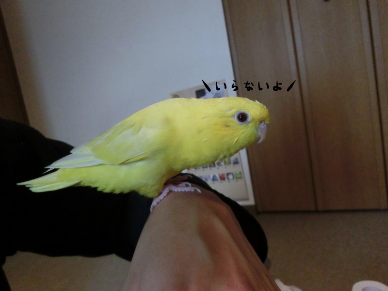 201411293.jpg