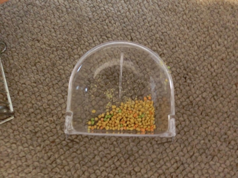 20141199.jpg