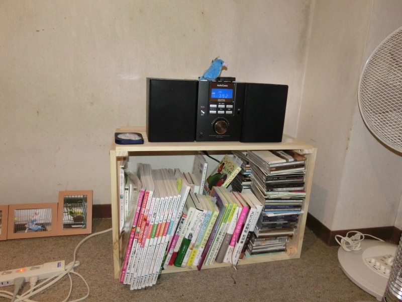 201412132.jpg