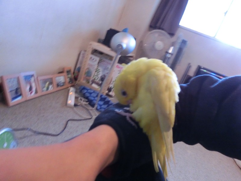 201412133.jpg