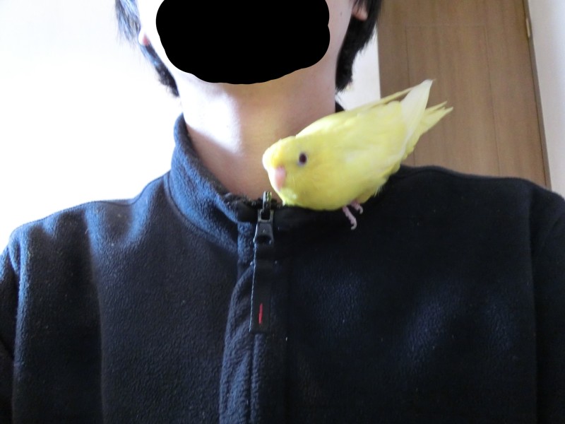 201412202.jpg