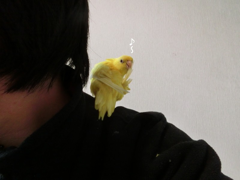 201412213.jpg