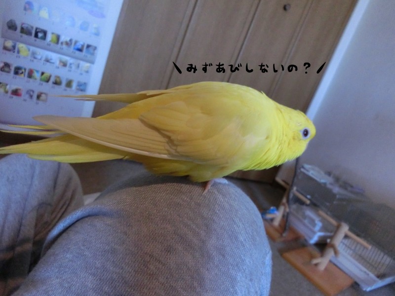 20141271.jpg