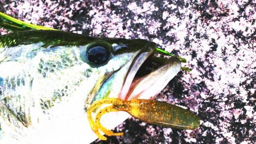 CYMERA_20120605_181214.jpg
