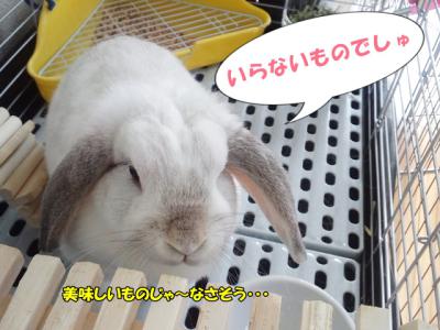 いらないでしゅ
