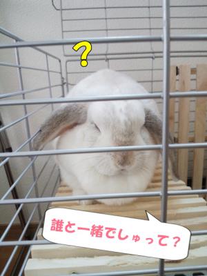 いっしょ???