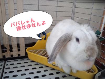 痩せませんよ・・・