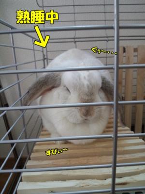 寝てる