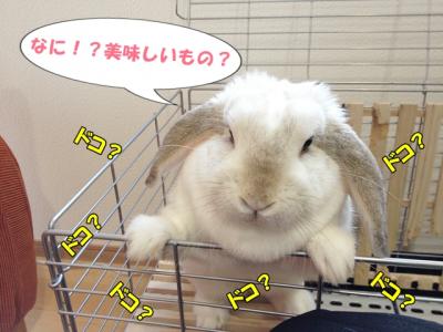 どこどこ?