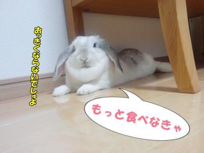 食べなきゃね