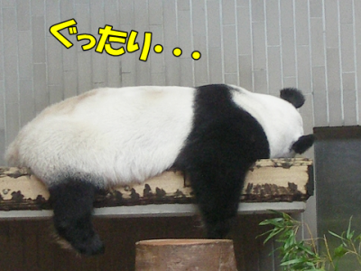 ぐったり