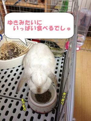 食べるでしゅ