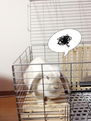 んー・・