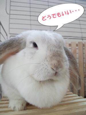 どうでもいい