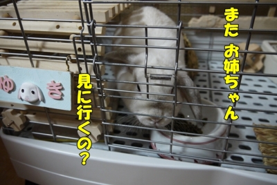 また?