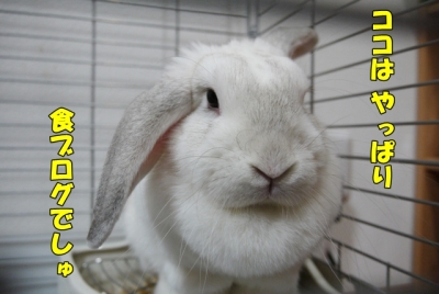 食ブログ?
