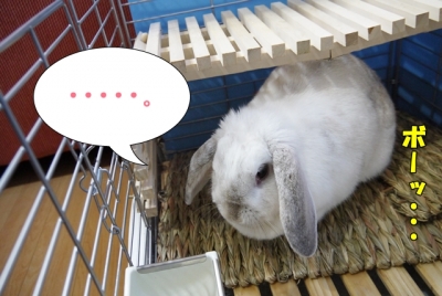 ボーッ