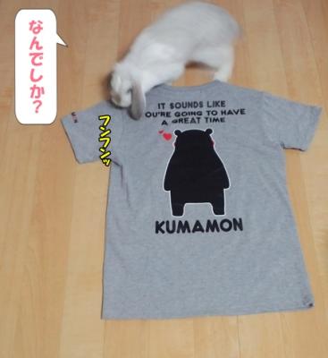 くまモン