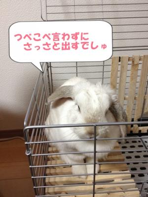だして~