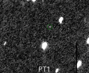 PT1 (1110113Y)