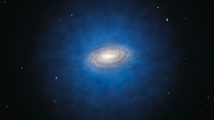 Milky Way and dark matter halo