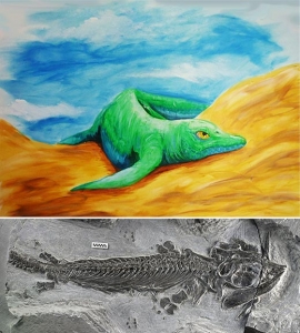 Cartorhynchus lenticarpus