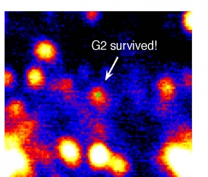 G2.jpg