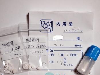 抗生物質 & 抗真菌剤 &点耳液