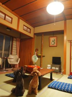レトロな部屋だ!
